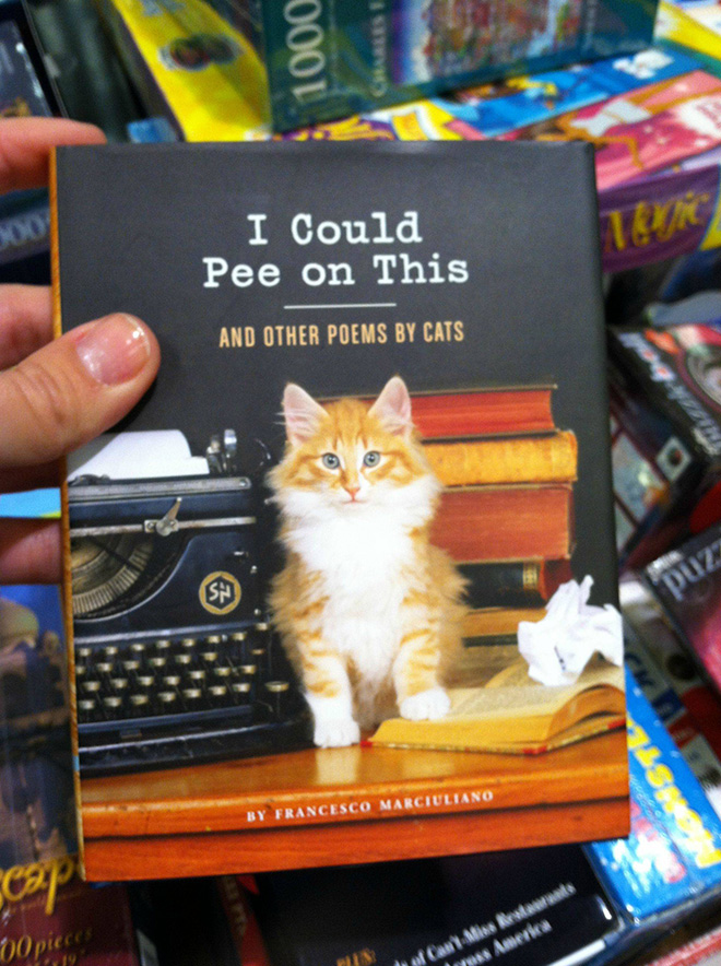 Extraño libro que realmente puedes comprar en Amazon.