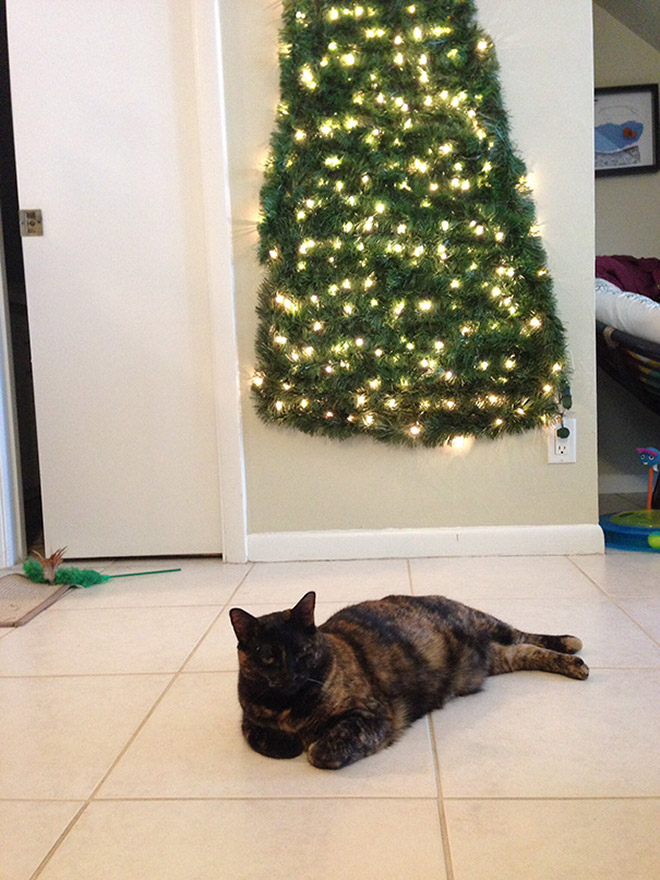 Protege el árbol de Navidad de las mascotas.