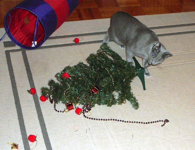 A los animales realmente les gusta pelear con los árboles de Navidad.