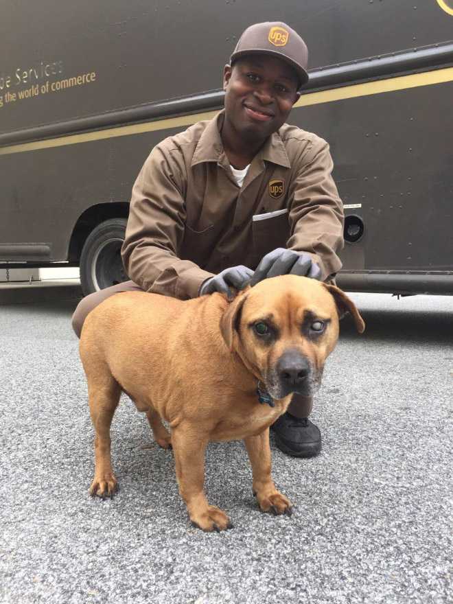 Conductor de UPS que se encuentra con un perro.