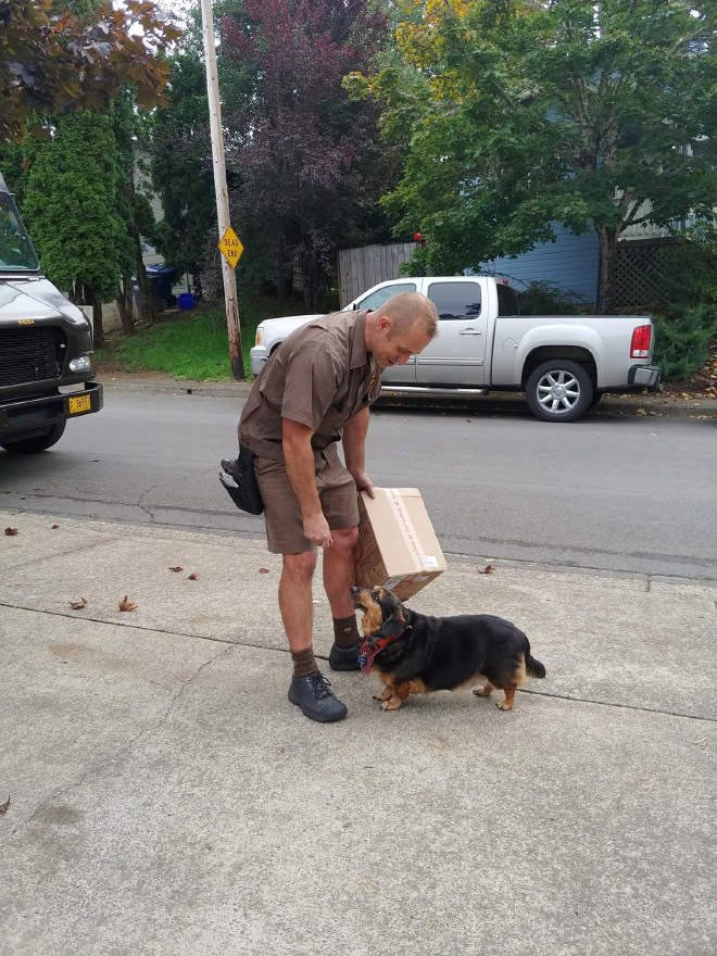 Conductor de UPS que se encuentra con un perro.