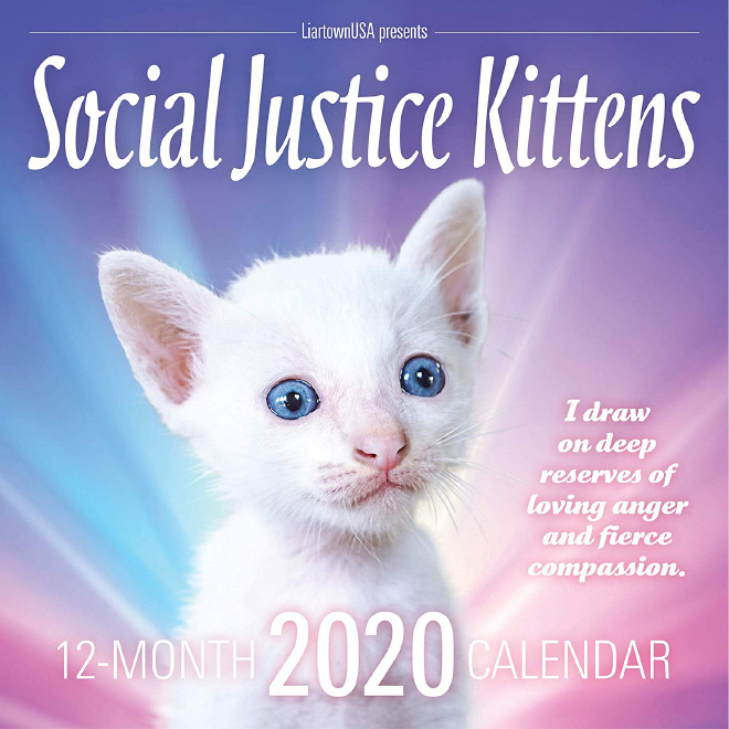 Gatitos de justicia social 2020.
