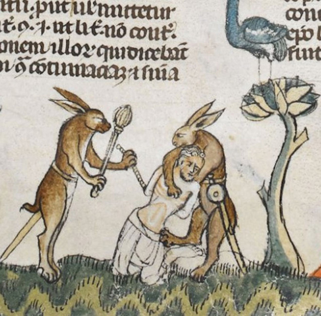 Los conejos eran realmente violentos en la época medieval.