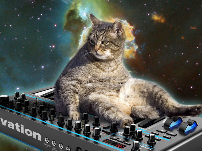 Gato en un sintetizador en el espacio.
