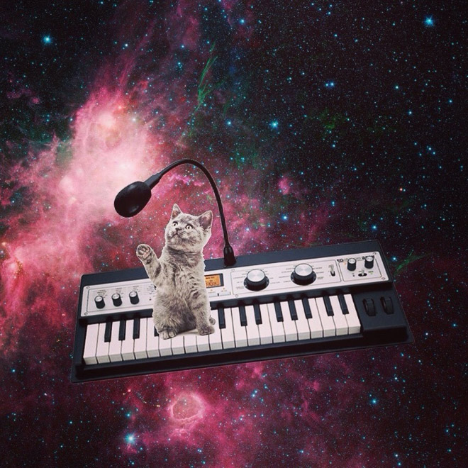 Gato en un sintetizador en el espacio.