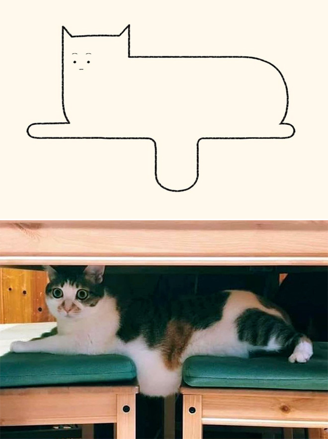 Dibujo de gato realmente preciso.