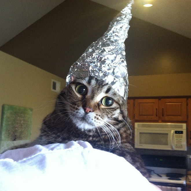 Sombrero de aluminio contra el control mental!