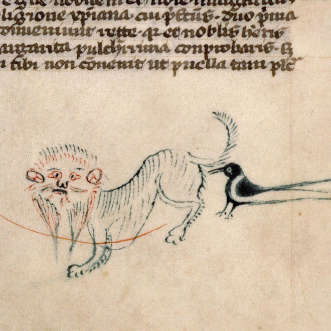 Parece que los pintores medievales nunca pusieron los ojos en un gato.