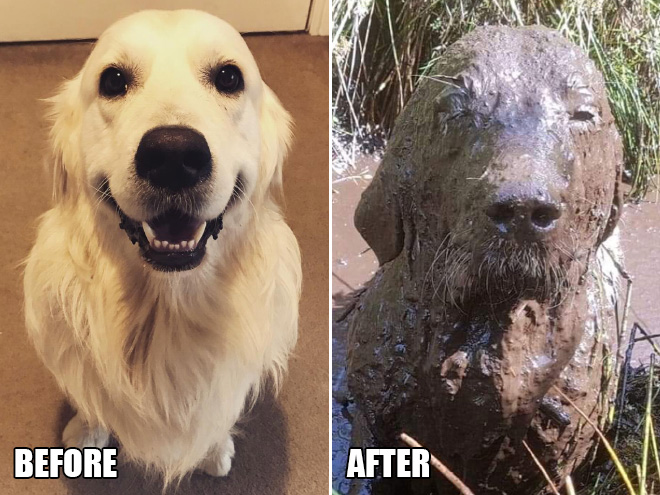 Antes y después de jugar en el barro.