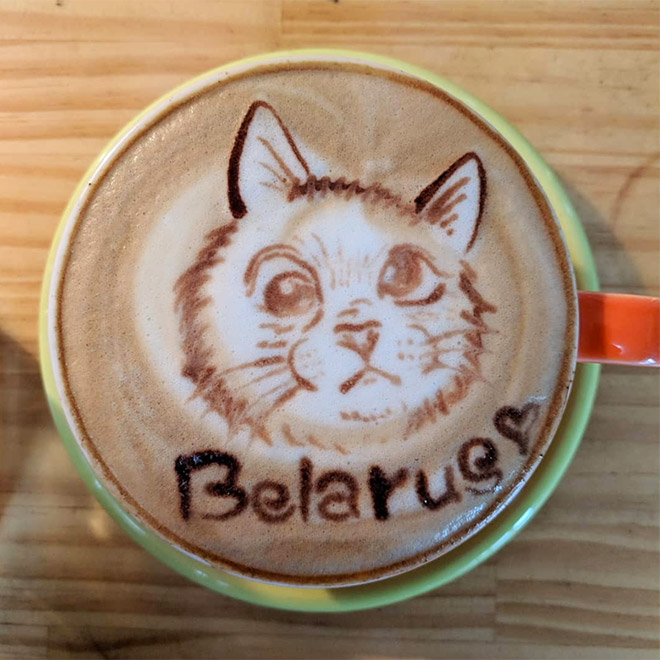Conoce Bielorrusia: un adorable gato con los ojos cruzados.