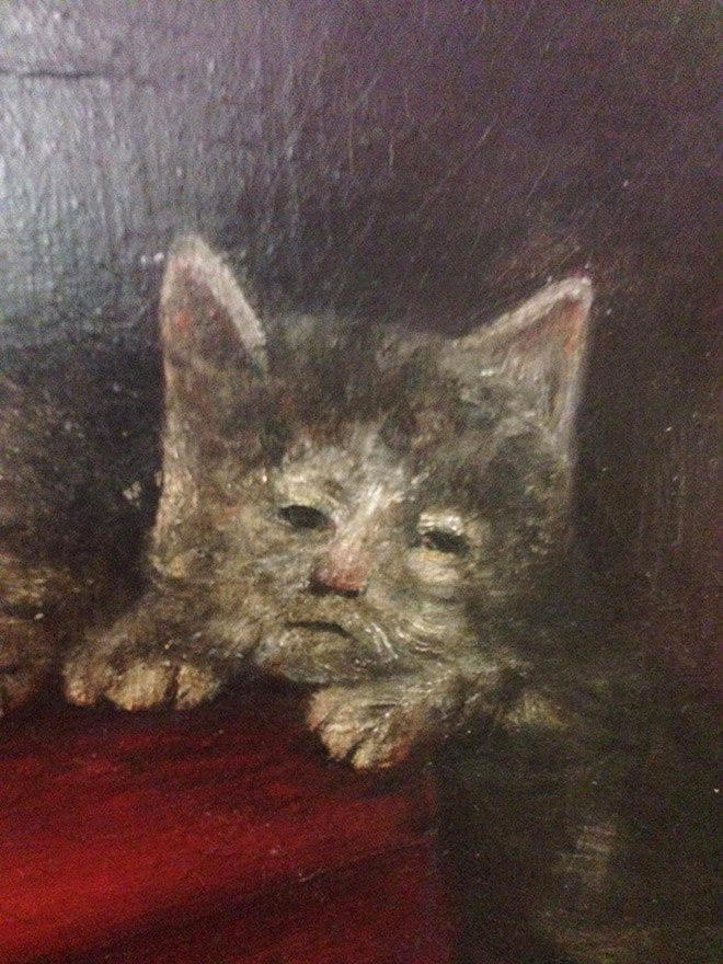 Parece que los pintores medievales nunca pusieron los ojos en un gato.
