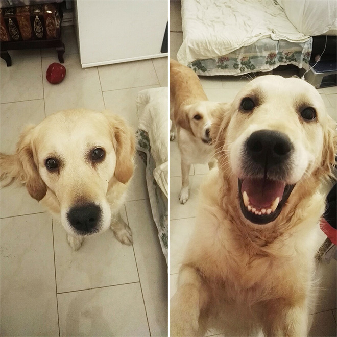 Antes y después de ser llamado un buen chico.