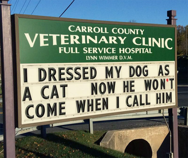 Divertido signo veterinario.