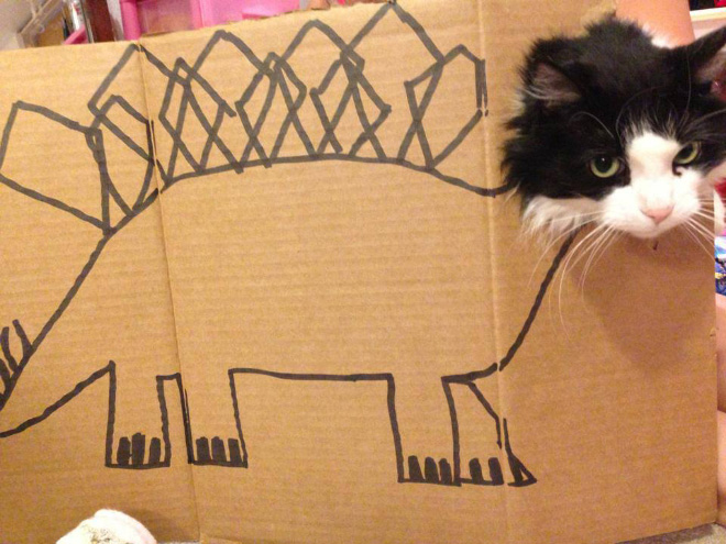 ¡Los dinosaurios de cartón están invadiendo el mundo!
