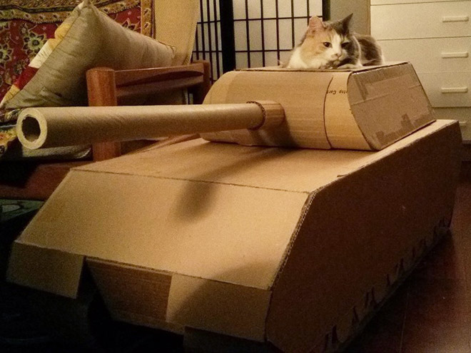 ¡Los gatos han comenzado a construir un ejército!