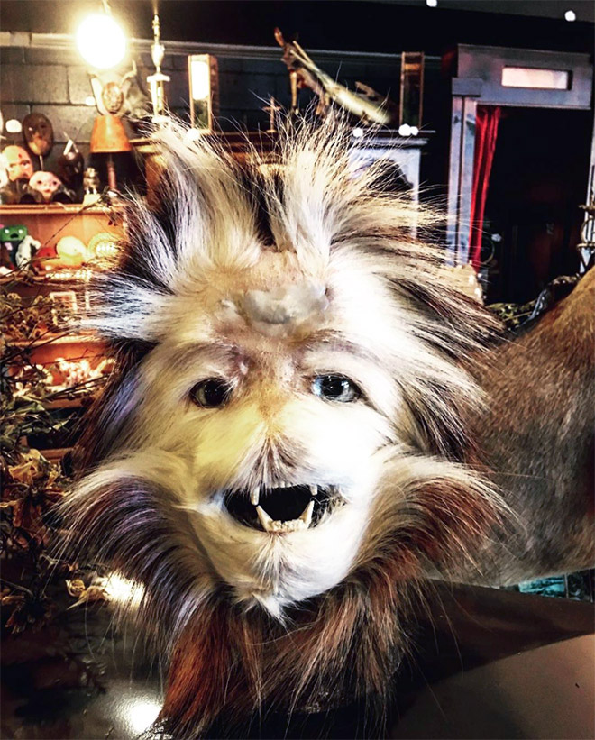 Assquatch