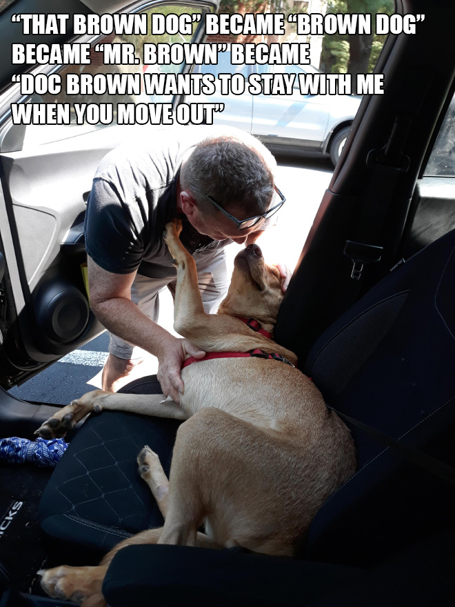Papá versus perro marrón.