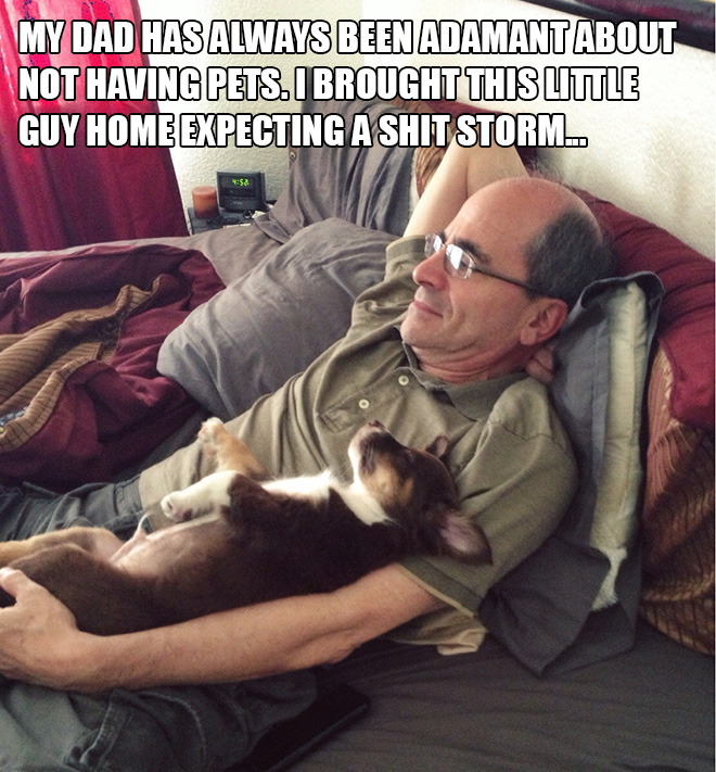 Papá versus perro.