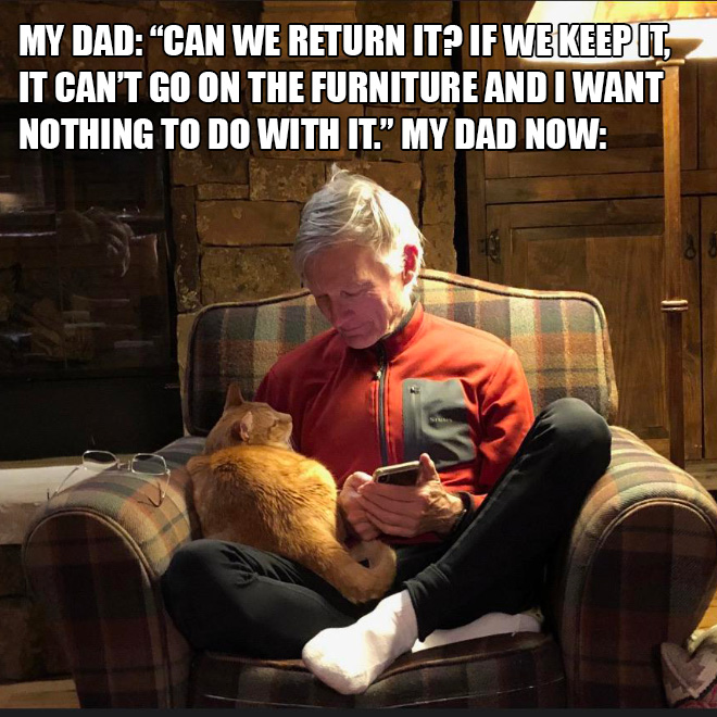 Papá versus gato.
