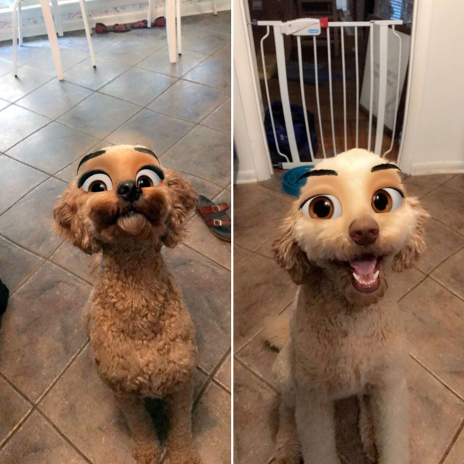 Filtro de Snapchat de ojos de Disney para perros.