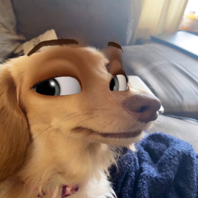 Filtro de Snapchat de ojos de Disney para perros.