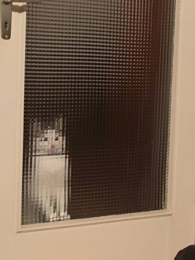Gato de baja resolución detrás de puertas de vidrio pixeladas.