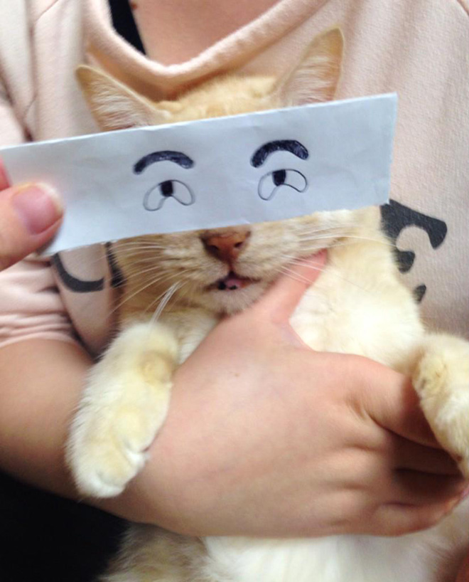 Expresión facial divertida del recorte de papel.