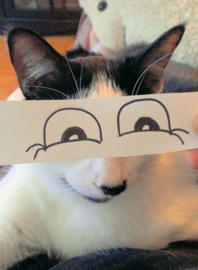 Expresión facial divertida del recorte de papel.
