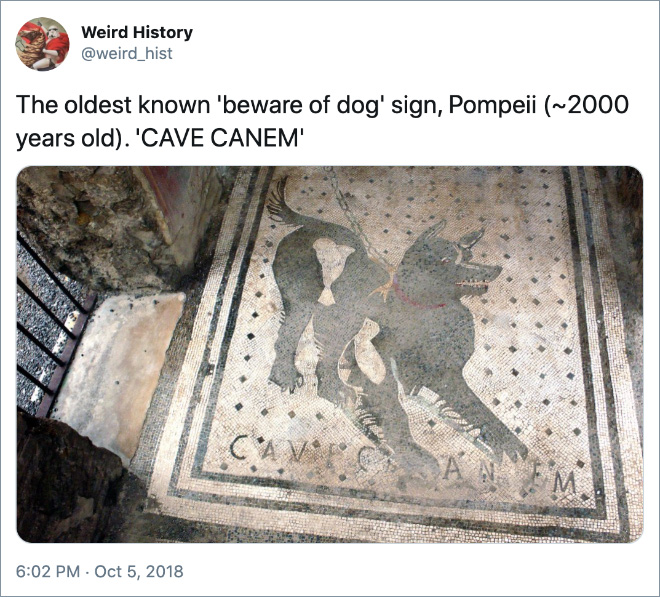 El letrero más antiguo conocido 'cuidado con los perros', Pompeya (~ 2000 años).