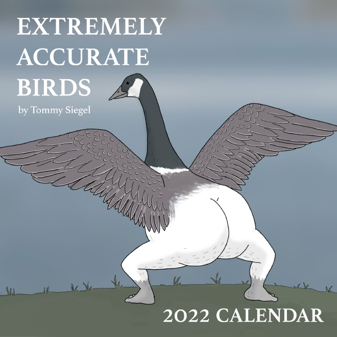 Calendario de aves extremadamente preciso.