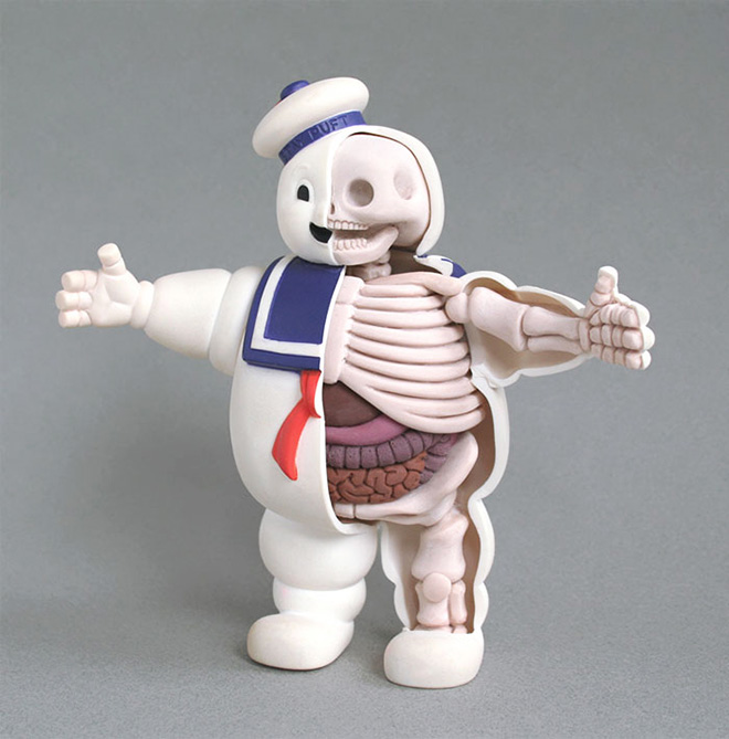 Anatomía de juguete.