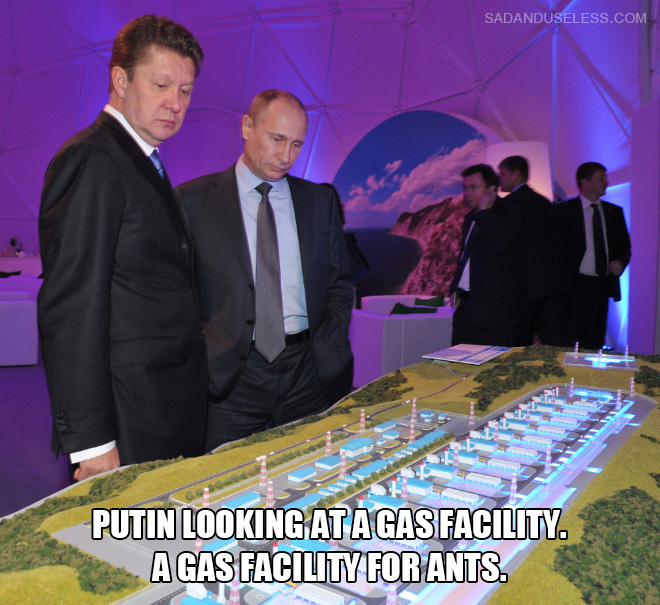 Putin examinando una instalación de gas.  Una planta de gas para hormigas.