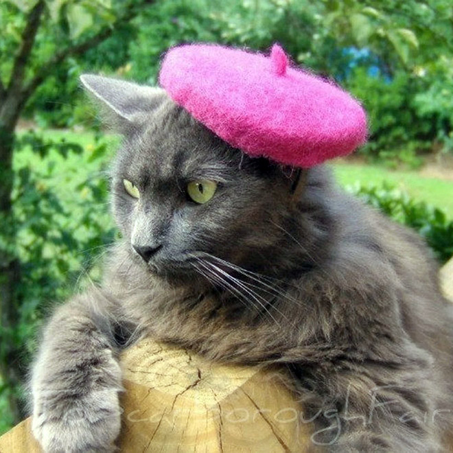 Sombrero de gato rosa.