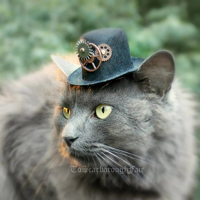 Sombrero de gato steampunk.