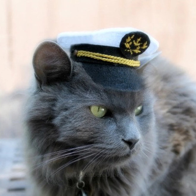 Sombrero de capitán gato.