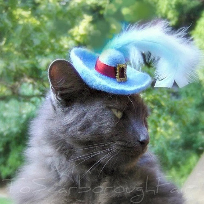 Los sombreros de gato son lo mejor que ha pasado en la moda.