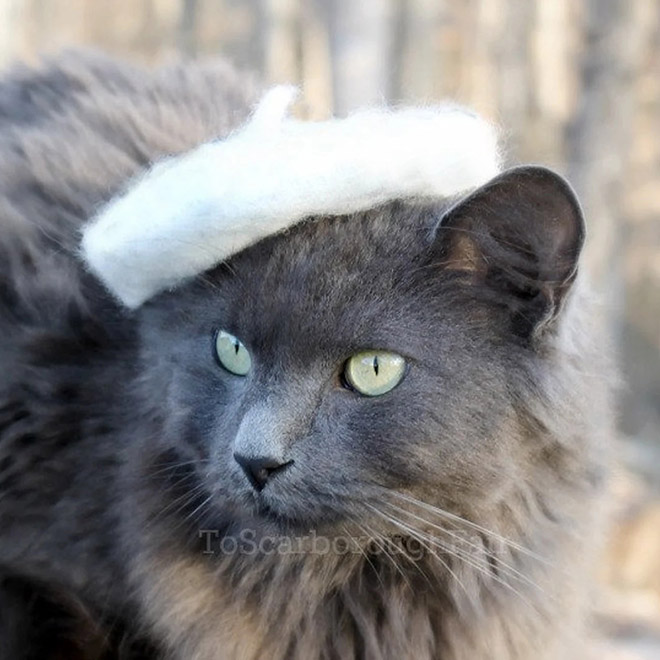 Los sombreros de gato son lo mejor que ha pasado en la moda.