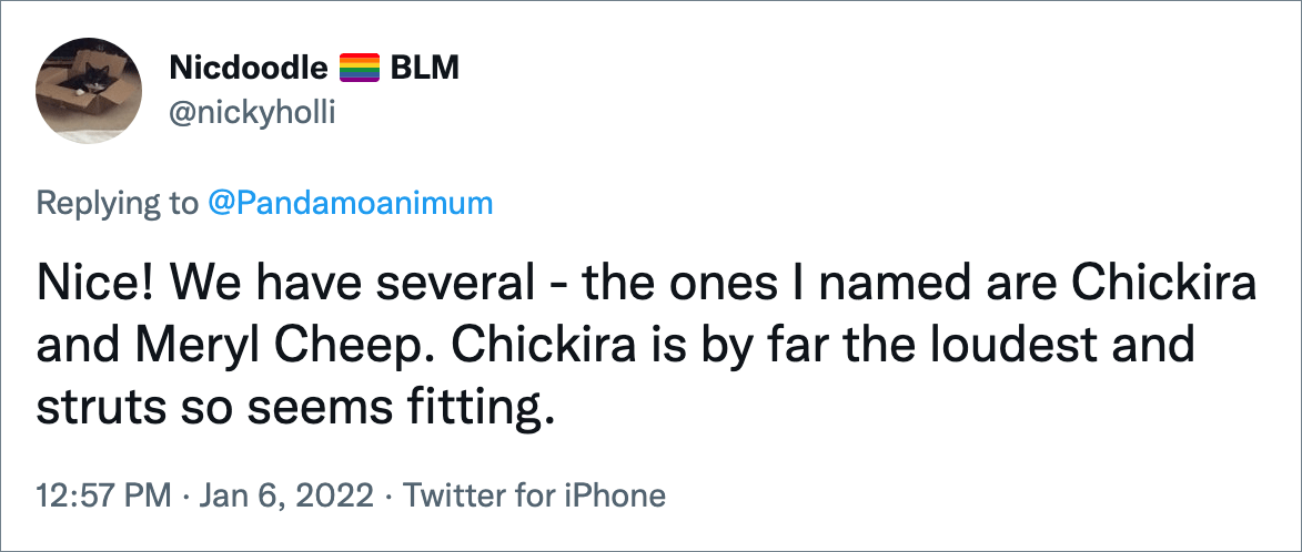 ¡Agradable!  Tenemos varios, los que nombré son Chickira y Meryl Cheep.  Chickira es, con mucho, la más ruidosa y se pavonea, por lo que parece apropiado.