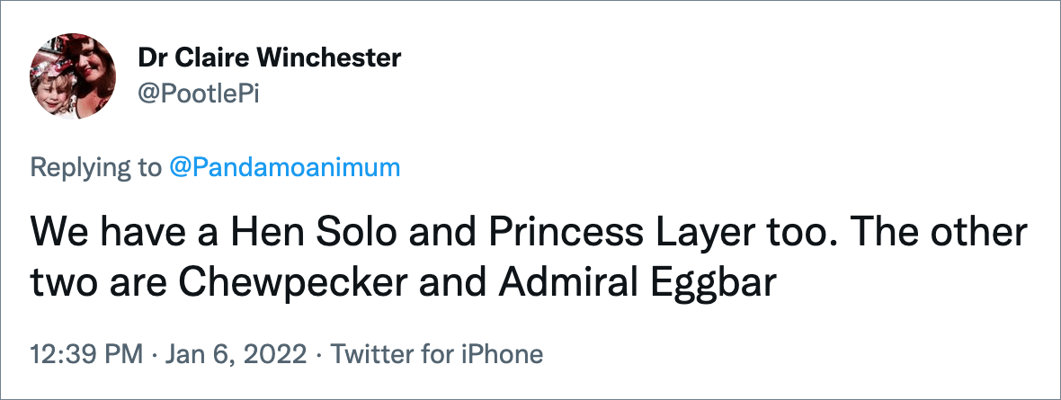 También tenemos una Gallina Solo y una Princesa Ponedora.  Los otros dos son Chewpecker y Admiral Eggbar.