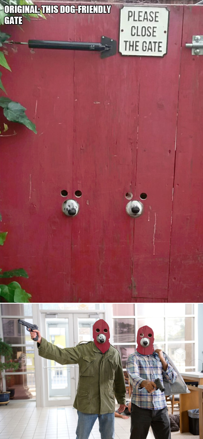Esta puerta es apta para perros.