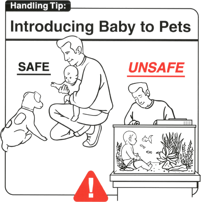 Introducir al bebé a las mascotas.