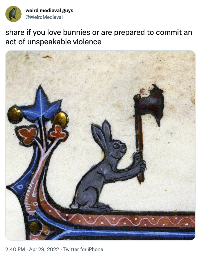 comparte si te gustan los conejos o estás listo para cometer un acto de violencia indescriptible