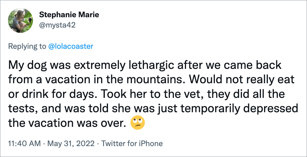 Mi perro estaba extremadamente letárgico después de que volvimos de vacaciones en las montañas.  Realmente no comía ni bebía durante días.  La llevé al veterinario, le hicieron todas las pruebas y me dijeron que solo estaba temporalmente deprimida, que las vacaciones habían terminado.