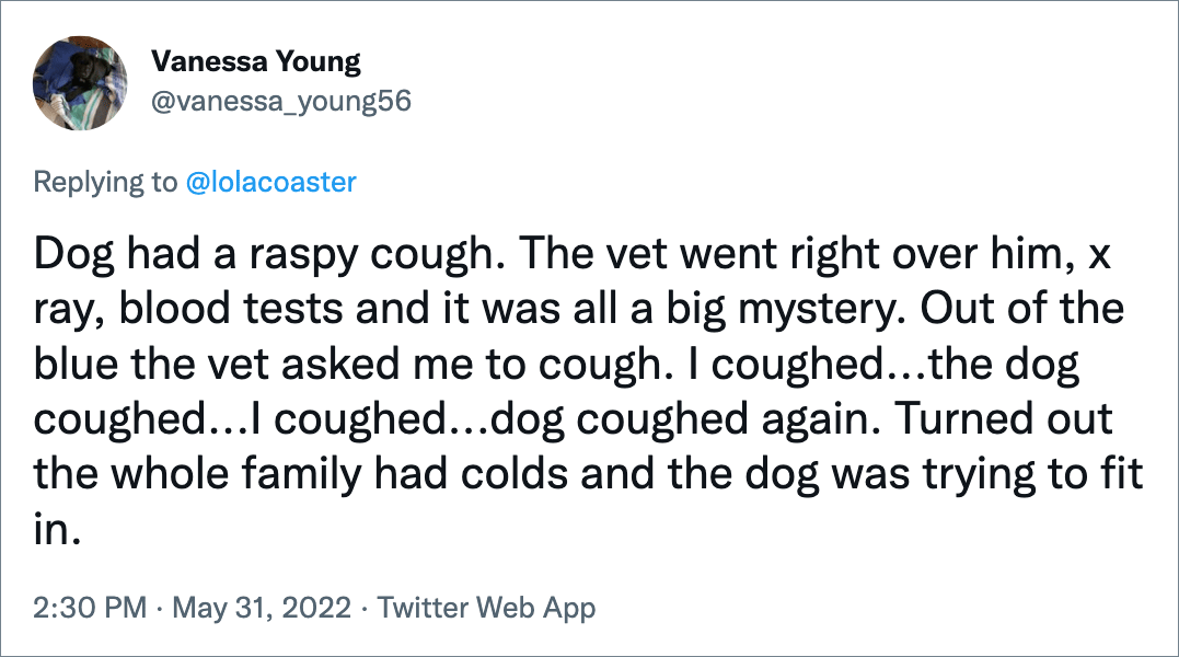 El perro tenía una tos ronca.  El veterinario fue directo a él, radiografías, análisis de sangre y todo fue un gran misterio.  De la nada, el veterinario me pidió que tosiera.  Tosí... el perro tosió... tosí... el perro volvió a toser.  Resultó que toda la familia estaba resfriada y el perro estaba tratando de adaptarse.