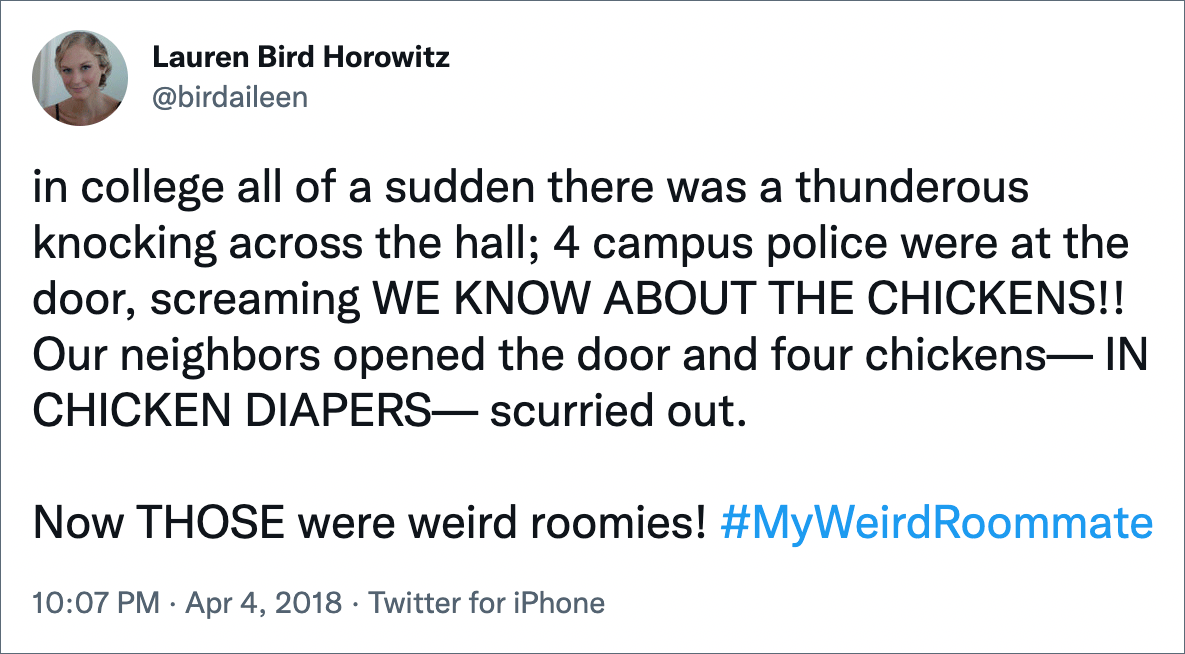 en la secundaria, de repente, un trueno sonó en el pasillo;  4 policías del campus estaban en la puerta gritando ¡SABEMOS DE LAS POLLAS!  Nuestros vecinos abrieron la puerta y cuatro pollos - EN CAPAS DE POLLO - salieron corriendo.