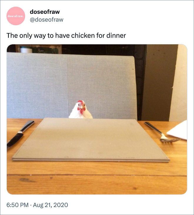La única forma de cenar pollo