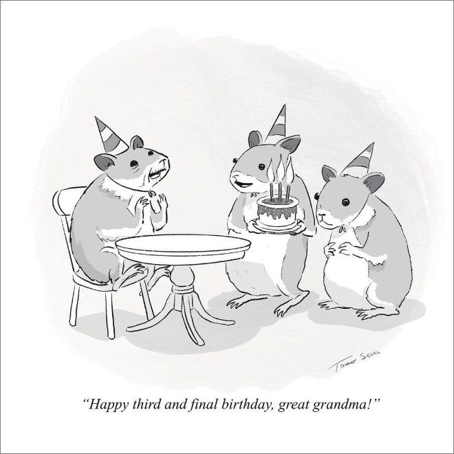 Caricatura de Tommy Siegel.