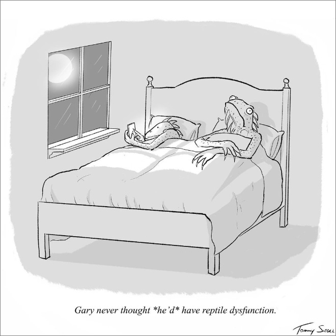 Caricatura de Tommy Siegel.